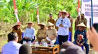 papua pembangunan 2