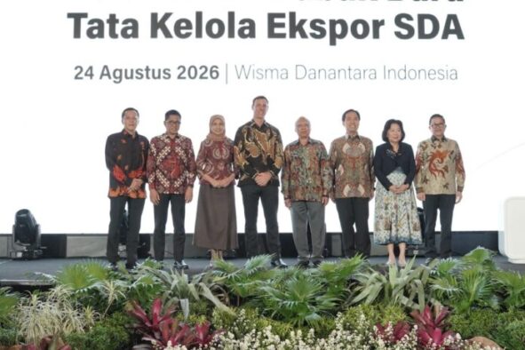 DSI 1