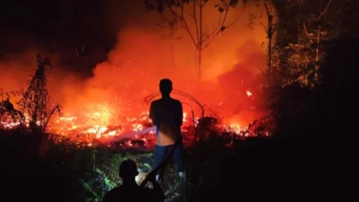 karhutla papua 1